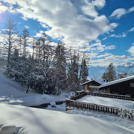 Lovely Private Parking Apartment Crans-Montana